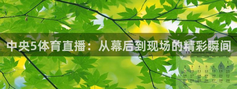 直播nba免费观看说球帝：中央5体育直播：从幕后到现场的精彩瞬间