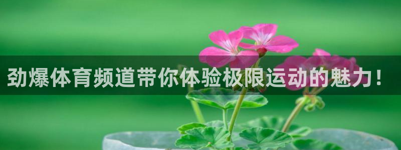 说球帝nba直播免费高清下载：劲爆体育频道带你体验极限运动的魅力！