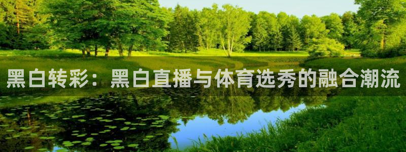 说球帝在线直播免费观看直播：黑白转彩：黑白直播与体育选秀的融合潮流
