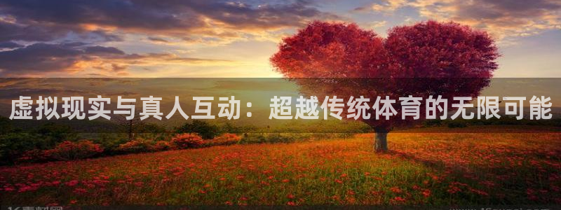 说球帝nba直播免费：虚拟现实与真人互动：超越传统体育的无限可能